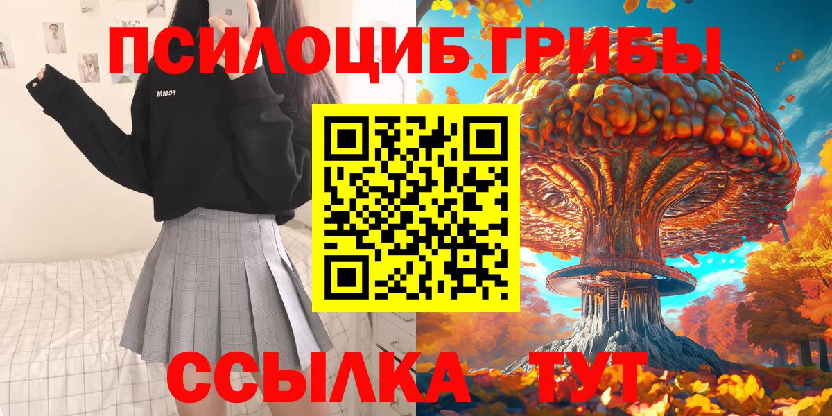 Псилоцибиновые грибы мицелий Стерлитамак