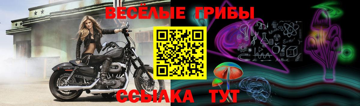 Галлюциногенные грибы Magic Shrooms  Вход с VPN  Стерлитамак 